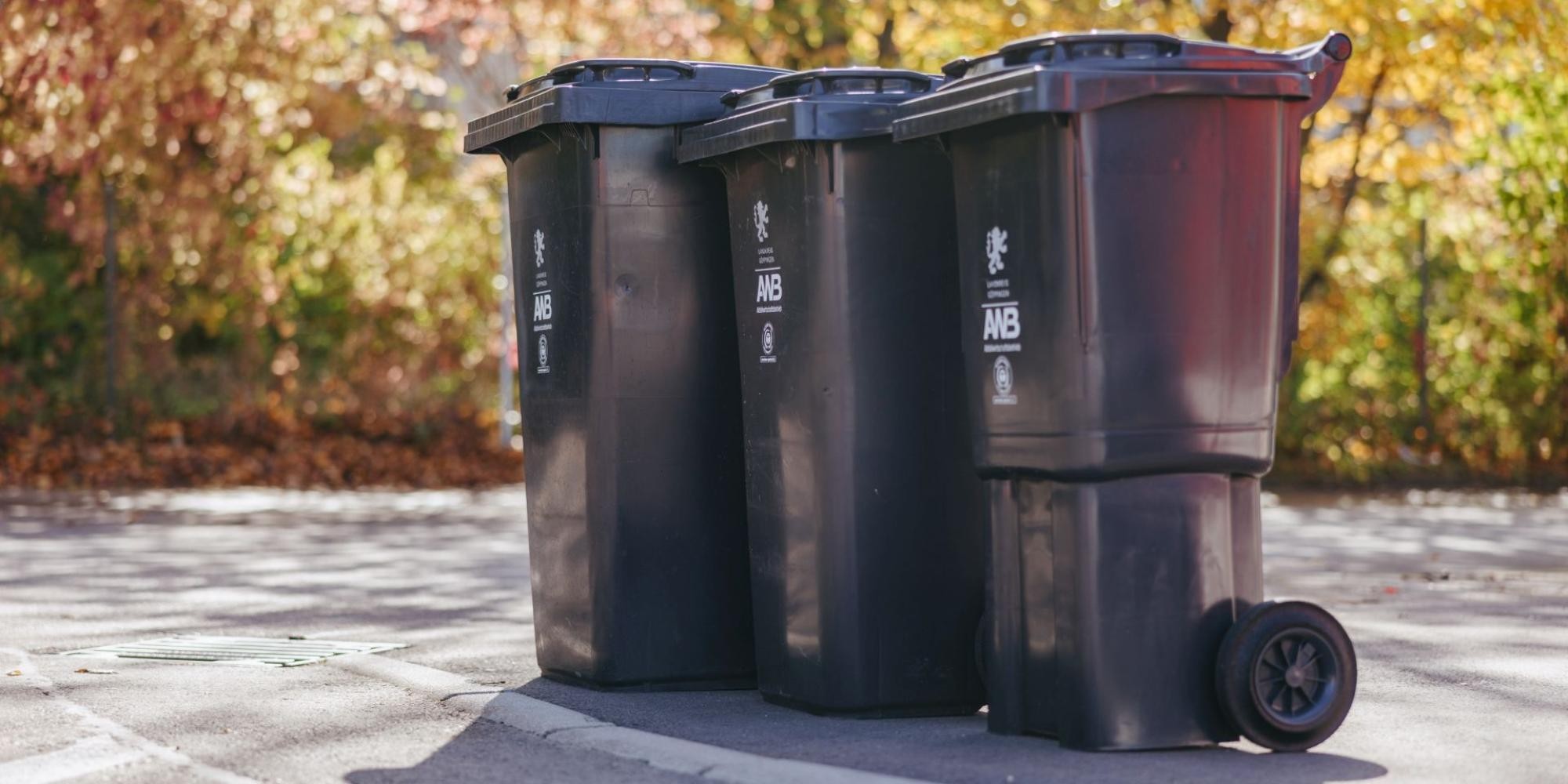 Drei Mülltonnen in unterschiedlichen Größen stehen am Straßenrand